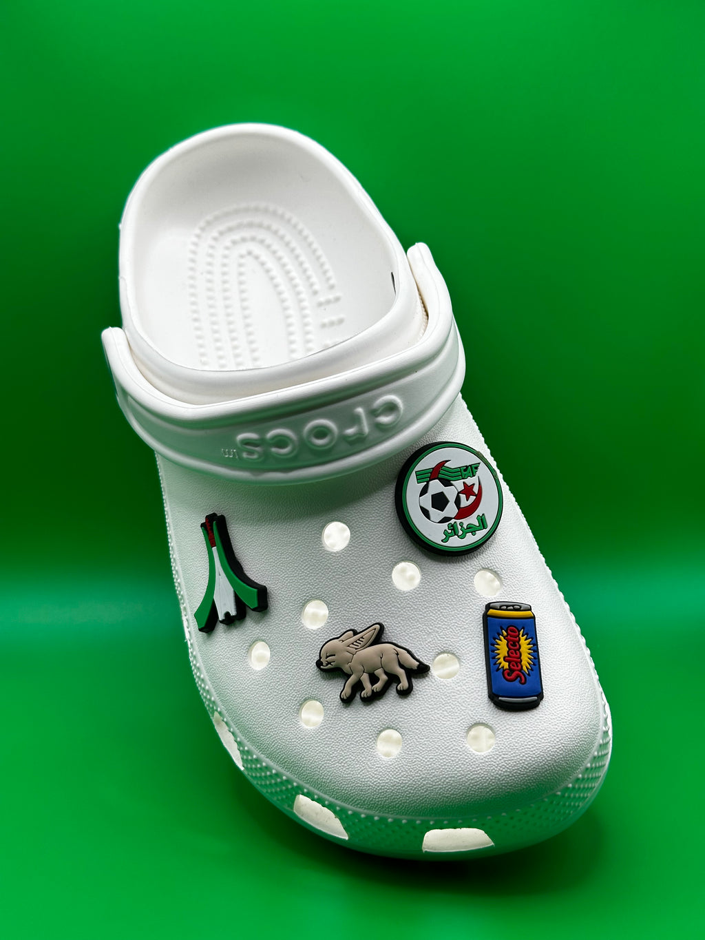 Pins  crocs Algerie ( 4 pins)