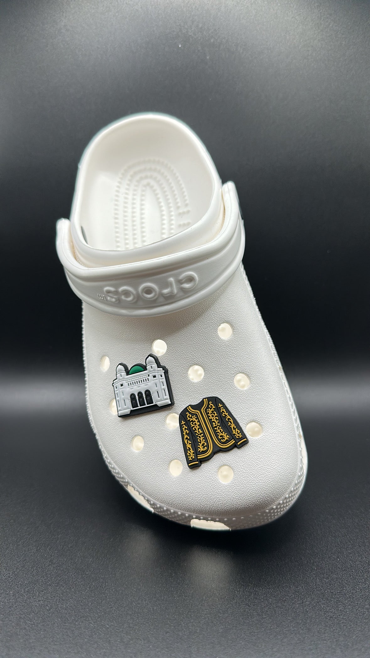 Pins crocs alger ( 2 pins)